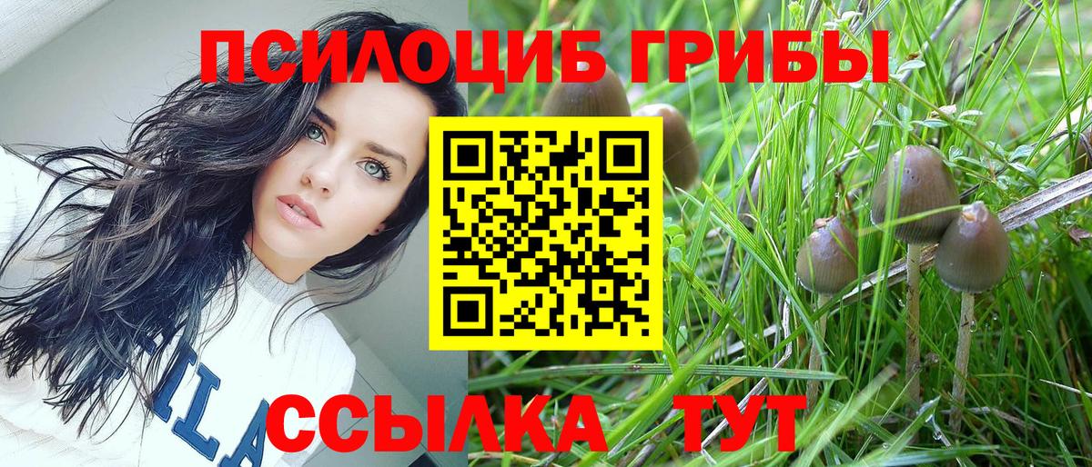 Галлюциногенные грибы прущие грибы  Вход с VPN  Салехард 